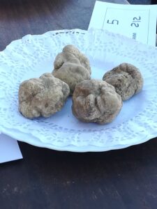 Gara dei tartufi Montegrosso fiera